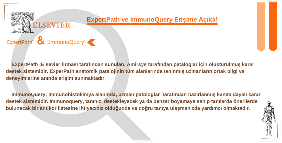 Expertpath ve ImmunoQuery